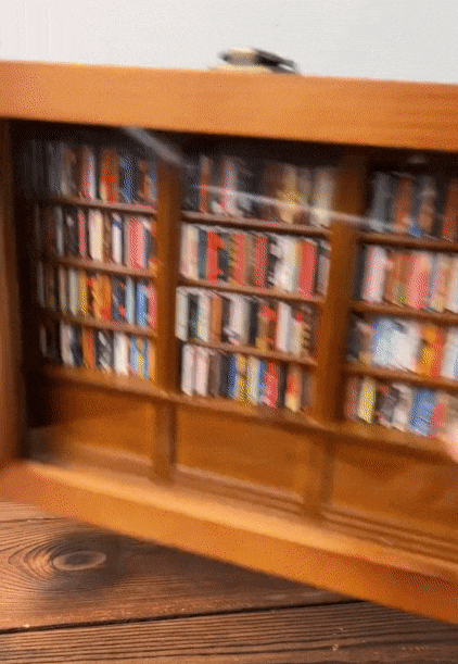aldorian™-📚Shake Away Your Anxiety Bookshelf Decoration | 🎁Buy 2 Free Shipping🔥