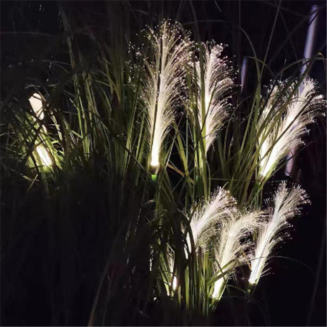 aldorian™-Reed Fiber Optic Light