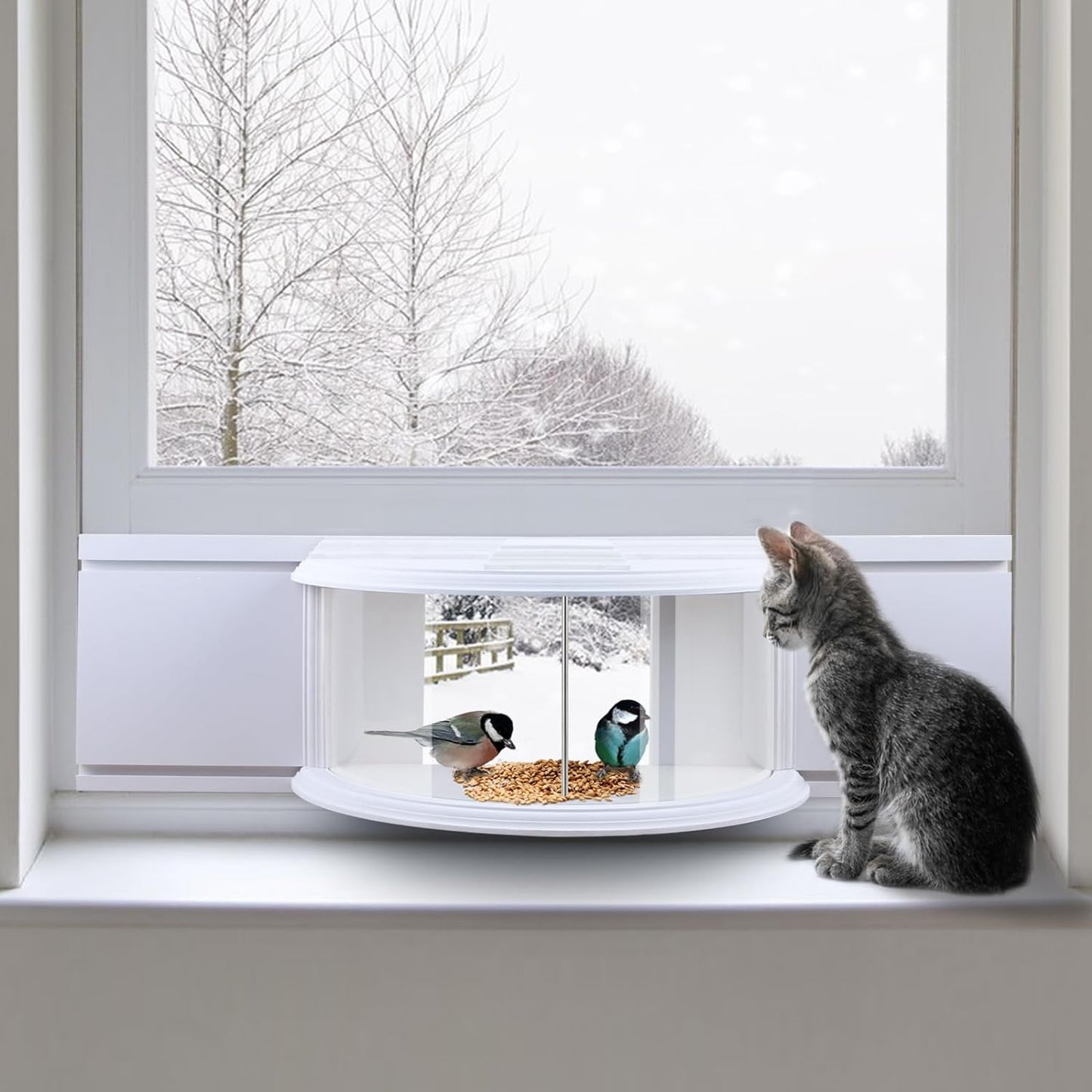 aldorian™-Discover the Ultimate Bird-Watching Experience with Our Window Bird Feeder