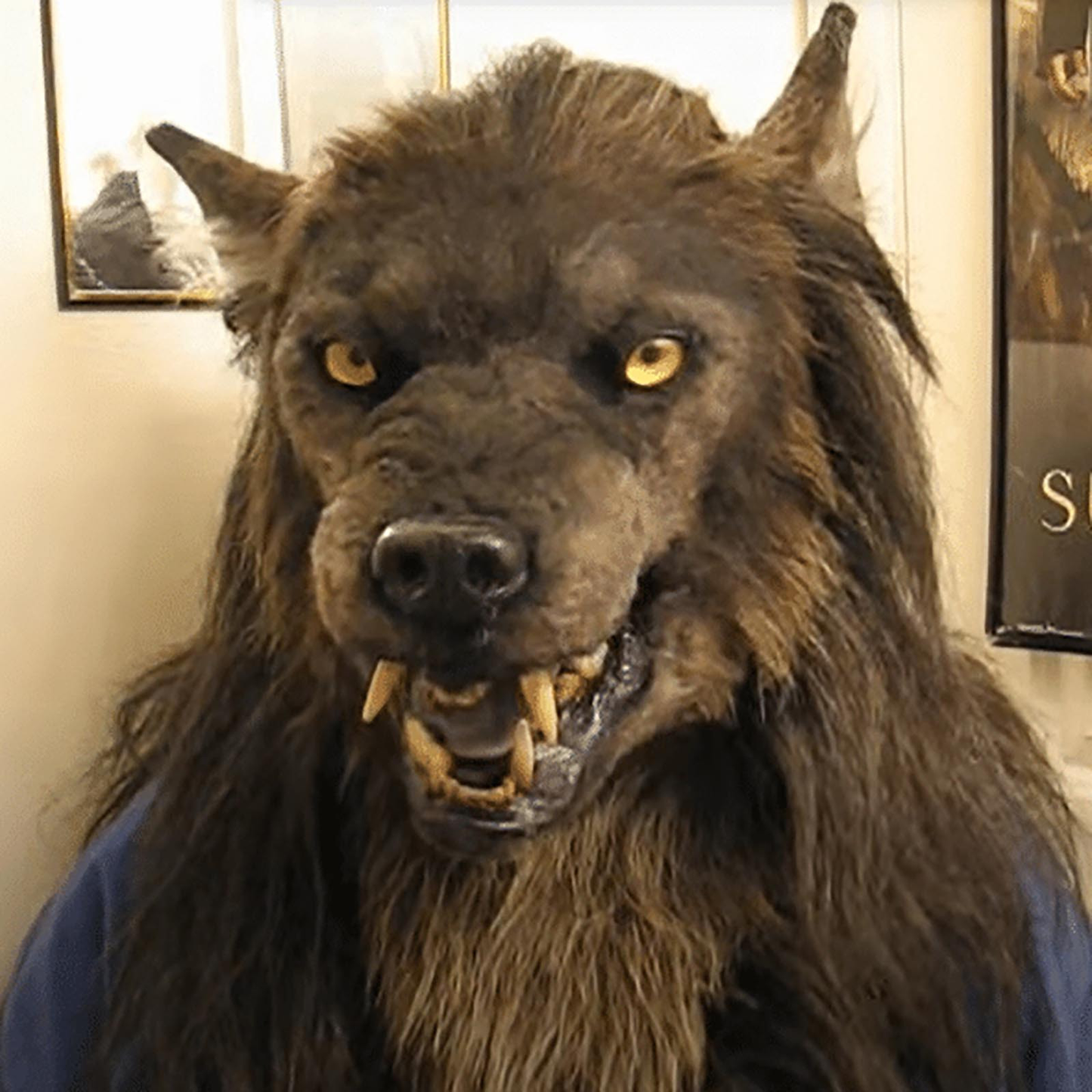aldorian™-Werewolf Headwear Glowing Eyes Movable Costume Mask-💖