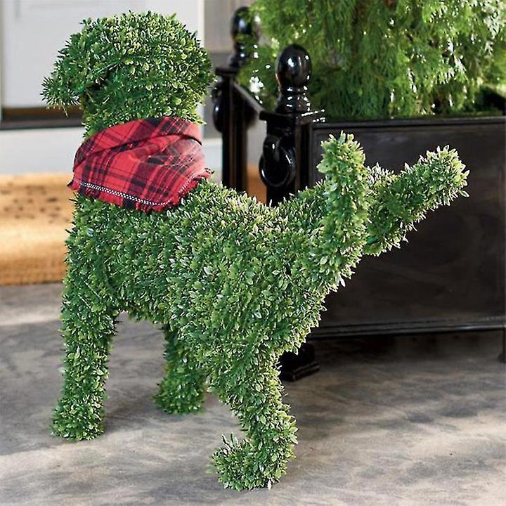 aldorian™ - Decorative Peeing Dog Topiary🐕