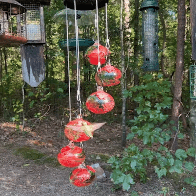 aldorian™-New Charming Wind Chimes Hummingbird feeders Garden Decor