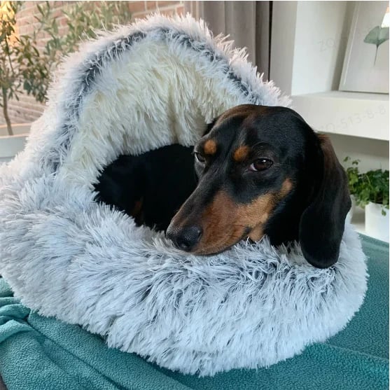 aldorian™-🔥Plush bed for dogs & cats🐶🐱