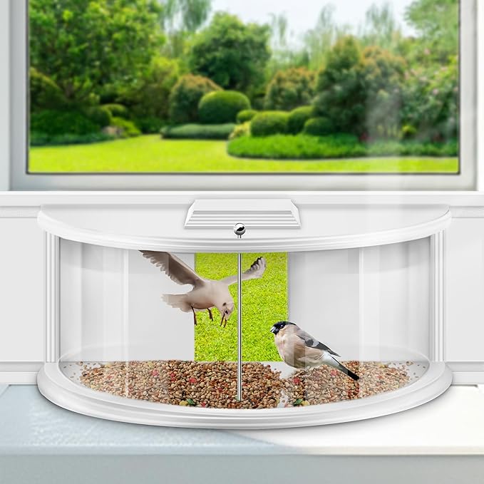 aldorian™-Discover the Ultimate Bird-Watching Experience with Our Window Bird Feeder