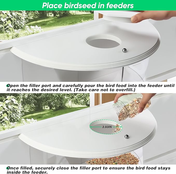 aldorian™-Discover the Ultimate Bird-Watching Experience with Our Window Bird Feeder