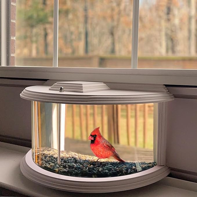 aldorian™-Discover the Ultimate Bird-Watching Experience with Our Window Bird Feeder