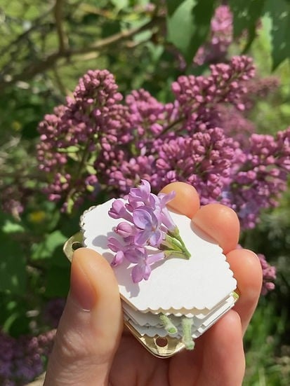 π2025 Micro Flower Press