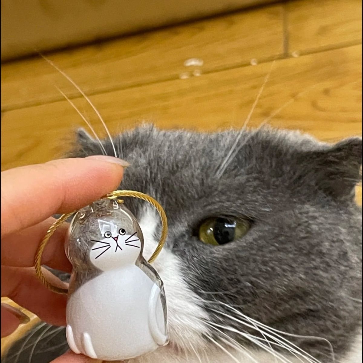 aldorian™-My Pet Hair Storage Pendant