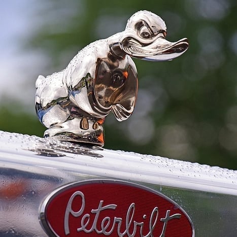 aldorian™-Limited Time Promotion🔥 Angry Duck Hood Ornament Death Proof