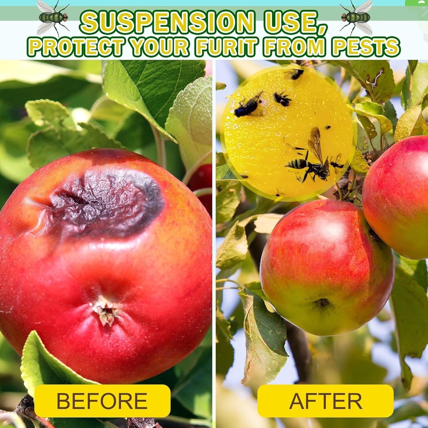 🎁 🔥Fruit Fly Balls - Waterproof & Heat-resistant Household Orchard Garden Sticky Ball Fly Catcher