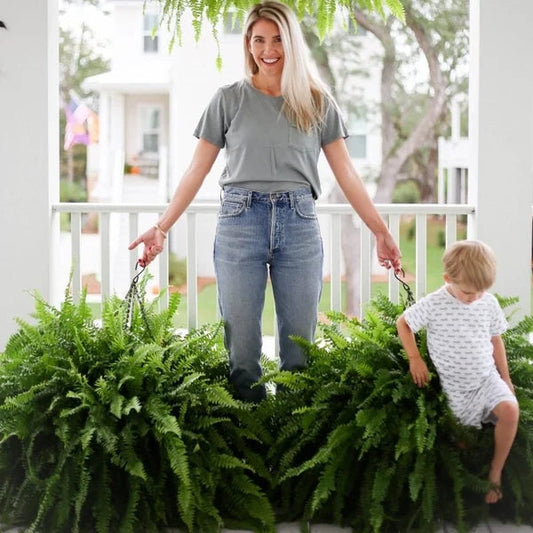 aldorian™-💥This Week's Special Price $19.99🌱UV Resistant Lifelike Artificial Boston Fern