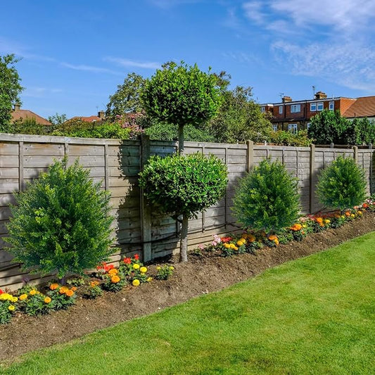 💥UV Resistant Artificial Cedar Topiary Ball Tree